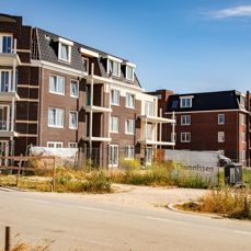 Header afbeelding Thunnissen Maassluis