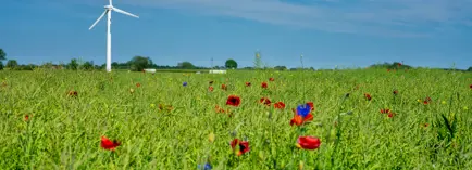 Header afbeelding Rasmus Andersen S7v U5dlz7c Unsplash