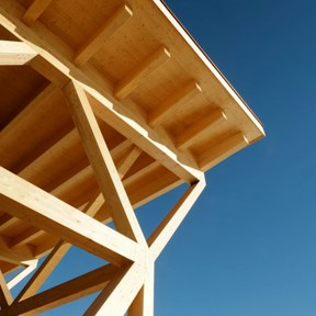 Bernhard 3T8Watpske4 Unsplash (1)