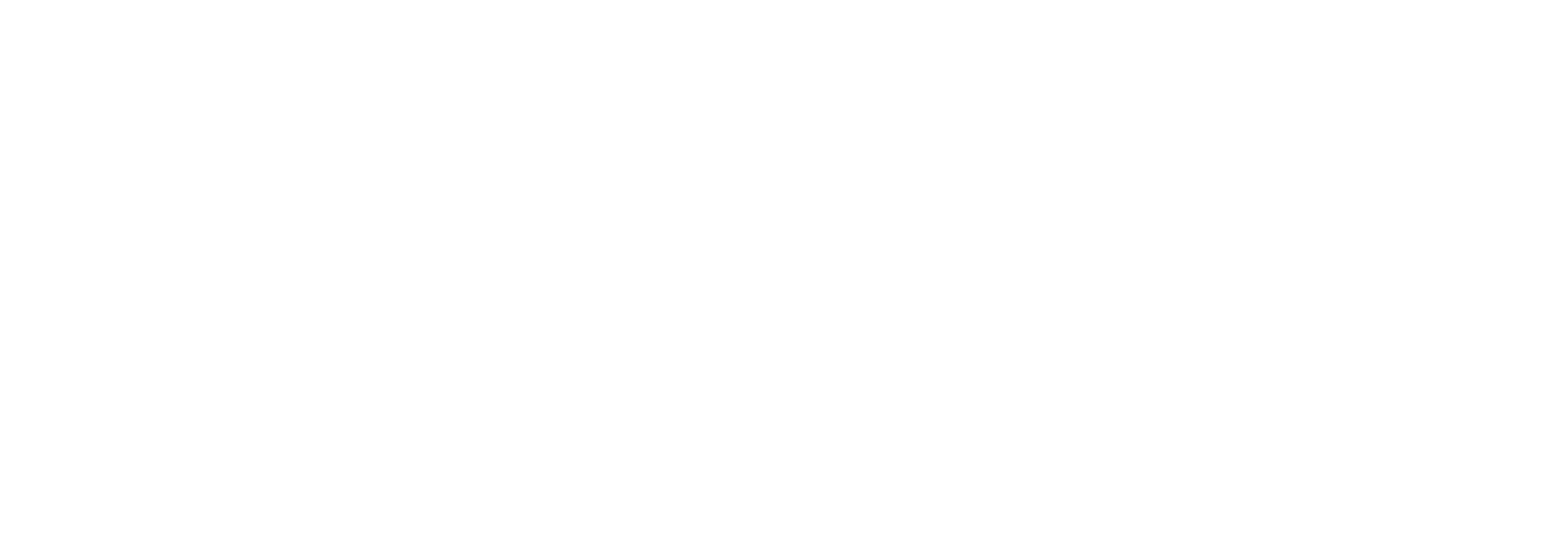 Woningborg Logo Wit